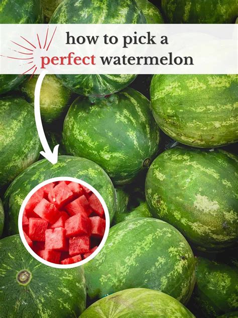 drop test watermelon|how to pick a good watermelon.